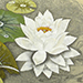 Shunei Nishida Gallery